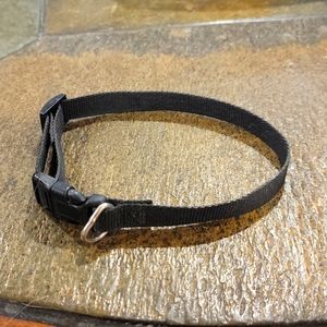 Small Black Collar with Buckle